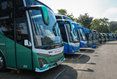 Siap Bawa Ribuan Warga Jateng Mudik Gratis, Ratusan Bus Disiapkan di TMII