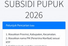 Kuota Pupuk Subsidi Sudah Ada, Petani Bisa Cek di Sini