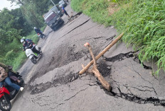 Jalur Utama Guci Tegal Amblas di Clirit View, Kendaraan Mengular Ratusan Meter