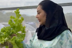 Ubah Citra Petani, Bupati Brebes Mitha Gaungkan Pertanian Modern