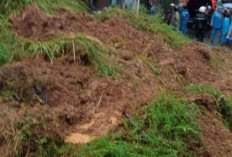 Tanah Longsor di Watukumpul Pemalang, Bocah 9 Tahun Meninggal Dunia