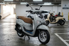 6 Warna Unik Honda Scoopy 2026 yang Lagi Tren di Kalangan Gen Z, Stylish dan Instagramable