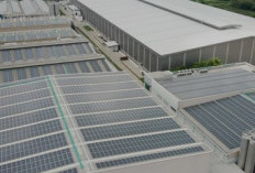 Harga Panel Surya Industri: 8 Komponen yang Menentukan Biaya PLTS