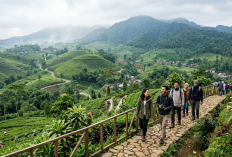 Mulai Bosan ke Pantai? Ini 8 Wisata Bukit di Brebes yang Sejuknya Mirip Puncak Bogor