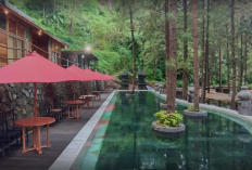 5 Tempat Liburan Paling Hits di Tegal untuk Liburan Sekolah, Seru dan Edukatif!