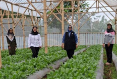 Perempuan Nasabah PNM Mekaar di Bandung Barat Kembangkan Usaha lewat Sinergi Ultra Mikro 