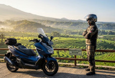 Honda Forza 250 Terbaru, Apa yang Membuatnya Terasa Premium?