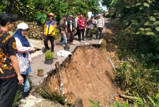 Jalur Paguyangan-Kedungoleng Brebes Putus Akibat Longsor, 600 KK Terisolasi