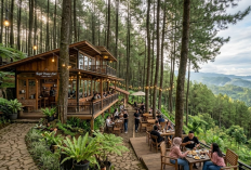 6 Cafe Unik di Batang 2026 yang Lagi Hits, Ada View Pantai dan Hutan