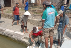 Cegah Luapan Rob Kali Sembilangan Pemalang, Warga Kaliprau Kerja Bakti 