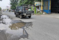 Jalur Vital Banjaran–Balamoa Dipenuhi Lubang, Anggota DPRD Tegal Desak Perbaikan Segera