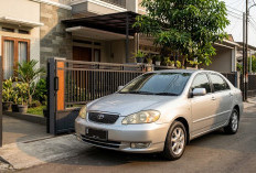 6 Mobil Sedan Bekas Harga Rp70 Jutaan Ternyaman, Cocok untuk Perjalanan Jauh
