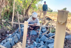 Diduga Asal-asalan, Pembangunan Jaringan Irigasi Tersier Slatri Brebes Disorot
