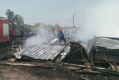 Sehari Jelang Panen, Kebakaran Kandang Ayam di Tegal Hanguskan 33 Ribu Ekor 