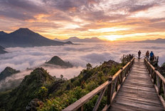 Lagi Viral di Media Sosial! Cek Pilihan Destinasi Wisata Terbaru di Brebes Ini