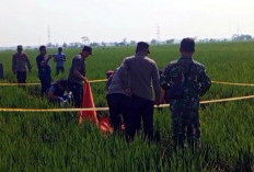 Misteri Perangkat Desa di Bojong Pekalongan Ditemukan Tewas Terkubur Lumpur Sawah