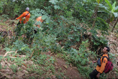 Wanita di Brebes Raib di Hutan Makam Dawa