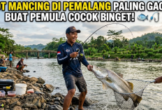 Spot Mancing di Pemalang Paling Gacor, buat Pemula Cocok Banget!