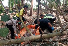 Pencari Rumput Temukan Mayat di Pinggir Sungai Jamuran Pemalang
