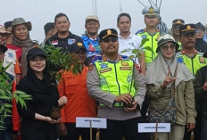 1.000 Pohon Ditanam di Brebes, Penghijauan Hutan Libatkan 500 Peserta.