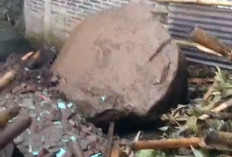 Hujan Deras Picu Longsor Batu Susulan di Desa Wisnu Pemalang