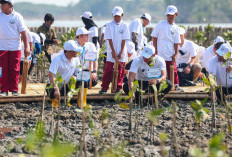 Lawan Abrasi Pantura, AHY dan Luthfi Tanam Mangrove HexBricks