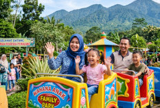 Cari Tempat Liburan Keluarga di Pemalang? Ini Daftar Wisata Ramah Anak Paling Worth It