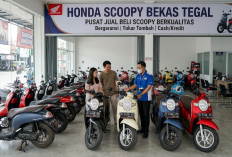 Harga Honda Scoopy Bekas di Tegal Naik atau Turun? Cek Daftarnya di Sini