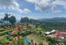 10 Wisata Sejuk di Pemalang yang Indah, Cocok untuk Healing dan Liburan Keluarga