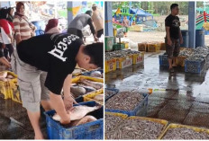 Muara Dangkal, Nelayan Pantai Larangan Tegal Menjerit Tangkapan Anjlok